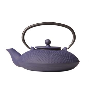 Cosy & Trendy Nara Teapot Blue Cast Iron 800ml W. Filt